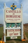 Castello di Borghese Vineyard and Winery