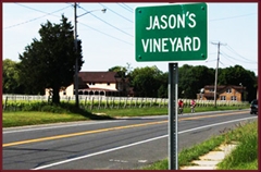Jason's Vineyard