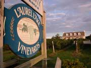 Laurel Lake Vineyards