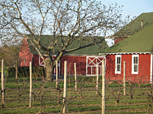 Peconic Bay Winery